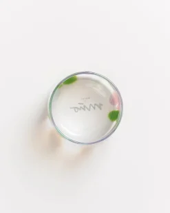 Hot Motel a Miio Alegria 6er Set Glas Klein big drops rosa grün