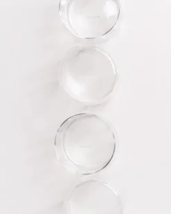 Fashion Motel a Miio Joia - Set Of 4 Glasses Flower Classic transparent